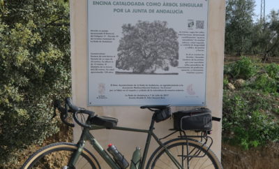 Andalucía – Málaga y Sevilla: Laguna de Fuente Piedra y Vía Verde de Las Lagunas